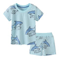 Derek T-Shirt Shorts Set